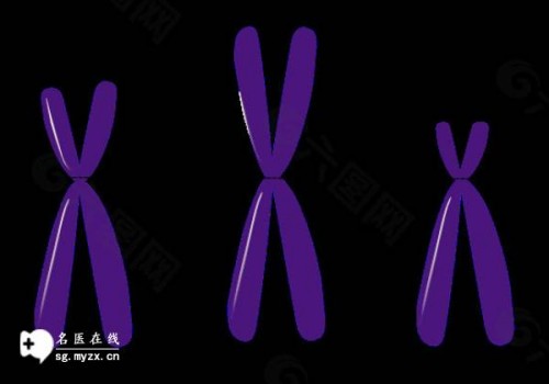 杭州试管供精：﻿高龄试管移植着床的这几个原因