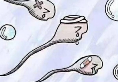 杭州供精代怀：﻿泌乳素含量过低对备孕的危害比预想中大多了，最好提前进行调养