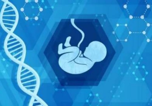 杭州正规代怀：﻿男性精子很少精弱精很难怀孕要吃什么比较好?