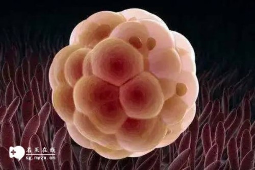 杭州捐卵供卵：﻿医生不建议吃钙片别担心，日常中这些食物也能补钙