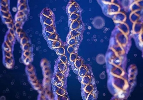 杭州试管供卵代怀：﻿怀孕期间孕吐不断有什么实用的小妙招可以缓解？