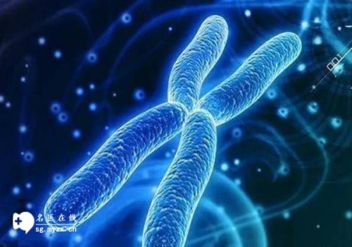 杭州专业代怀：﻿十万能不能去泰国做试管婴儿?为什么?